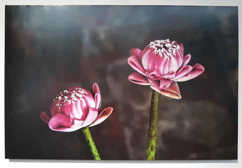 11Photo_(c)Dick_Hyman