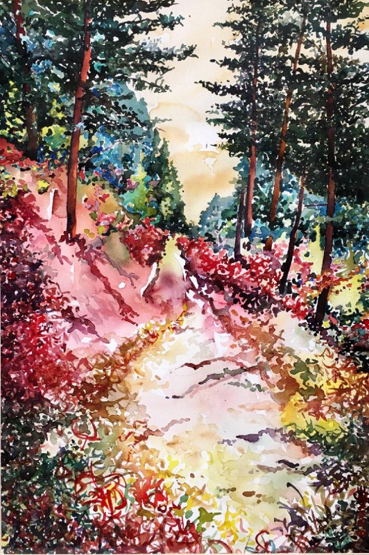 Teton_Trail_(c)_Steve_Bovee