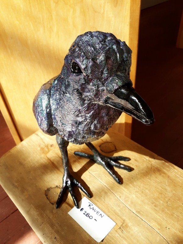 Raven 2 (c) Robert Miscione