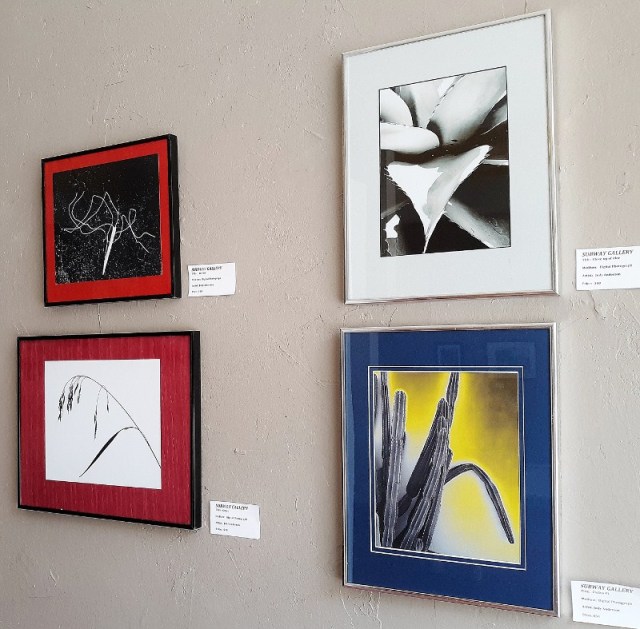 Judy_Anderson_photos2