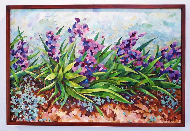 7_Iris_(c)Steve_Bovee_2019