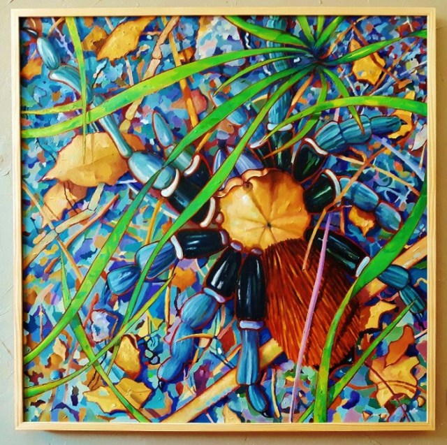 8_Tarantula_(c)Steve_Bovee_2019