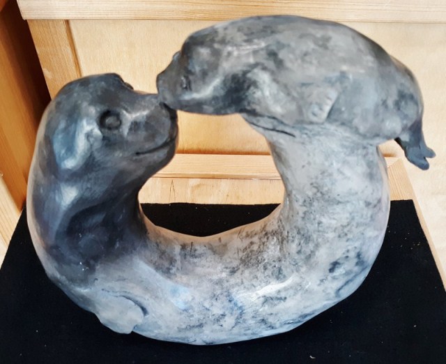 Seals_(c)_Dana_Dorner_2020