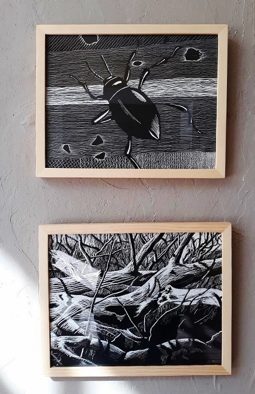 Bugged_&amp;_Dead_and_Down_(c)SteveBovee2020 (518x800)