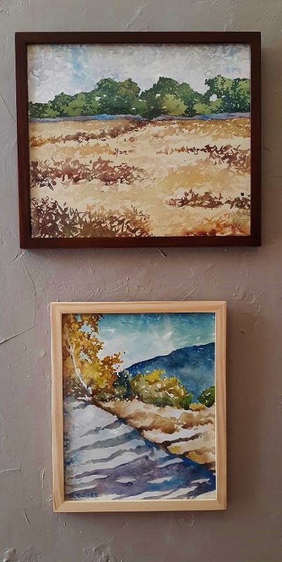 San_Pedro_Meadow_&amp;_Interlude_(c)SteveBovee2020 (401x800)