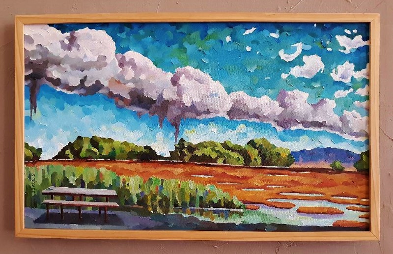 White_Water_Draw_(c)SteveBovee2020 (800x517)